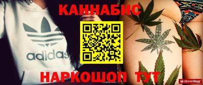 трава Кингисепп